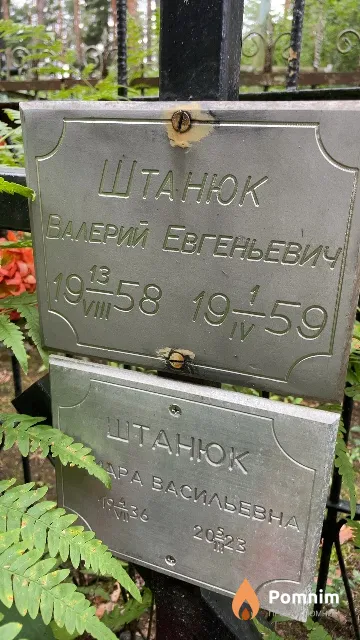 Штанюк Валерий Евгеньевич