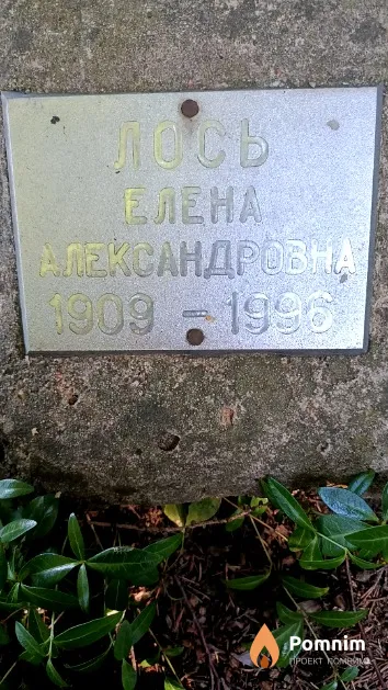 Лось Елена Александровна
