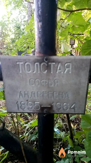 Толстая Софья Андреевна