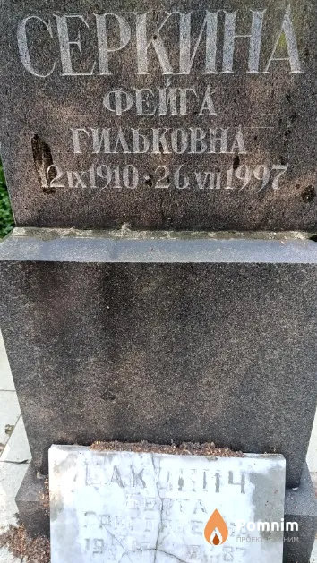 Серкина Фейга Гильковна