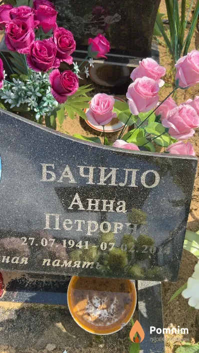 Бачило Анна Петровна
