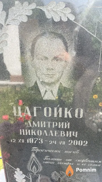 Цагойко Дмитрий Николаевич