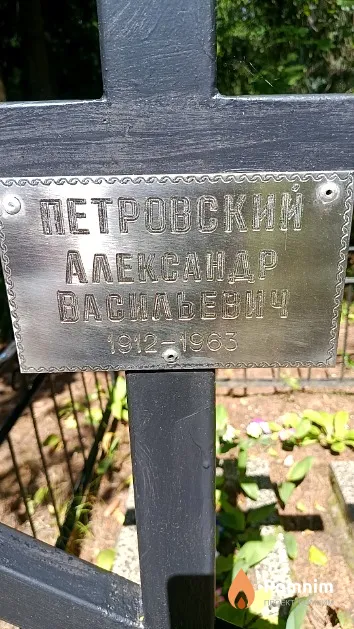 Петровский Александр Васильевич