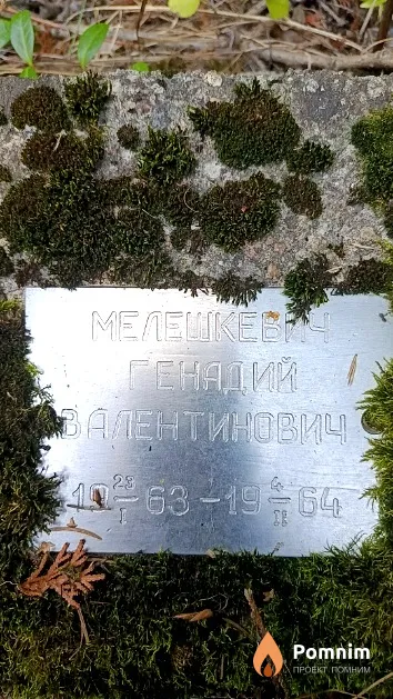 Мелешкевич Генадий Валентинович