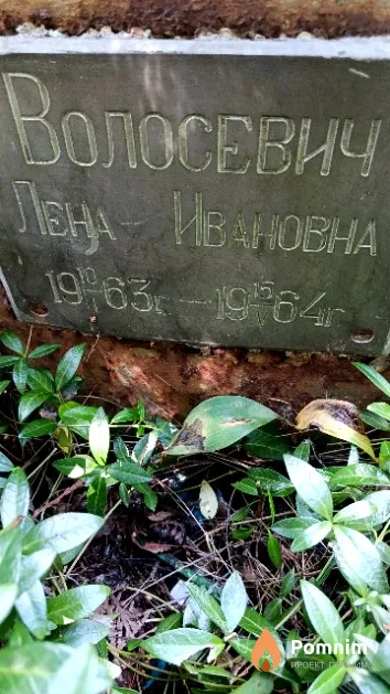 Волосевич Елена Ивановна