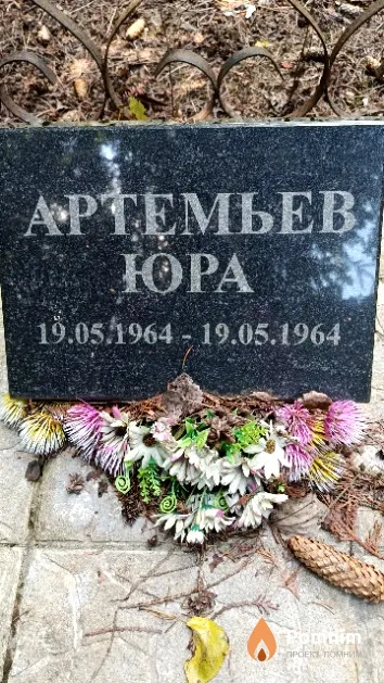 Артемьев Юрий