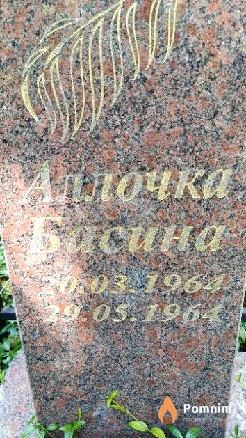 Басина Алла