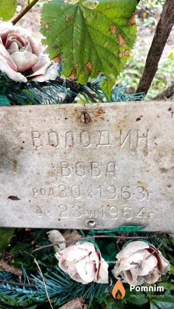 Володин Владимир
