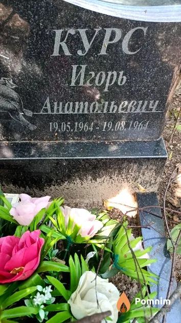 Курс Игорь Анатольевич