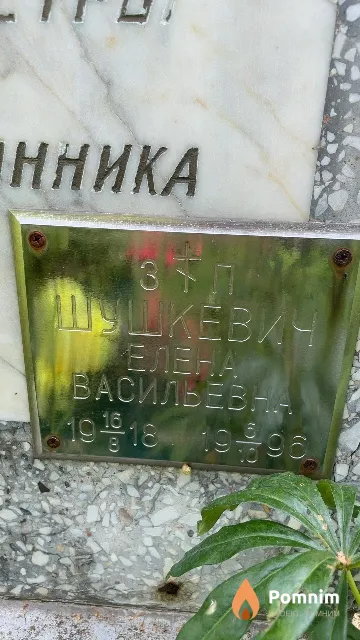 Шушкевич Елена Васильевна