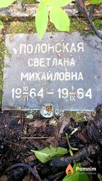 Полонская Светлана Михайловна