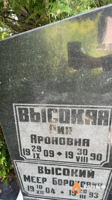 Высокая Лия Ароновна
