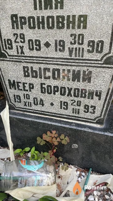Высокий Меер Борохович