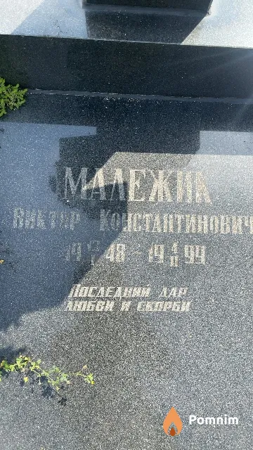 Малежик Виктор Константинович