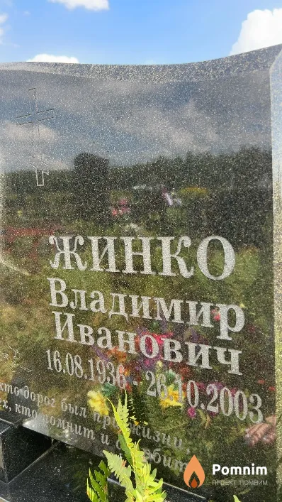 Жинко Владимир Иванович