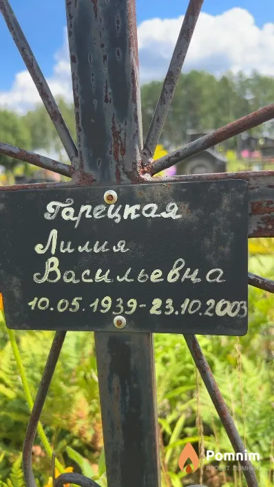 Горецкая Лилия Васильевна