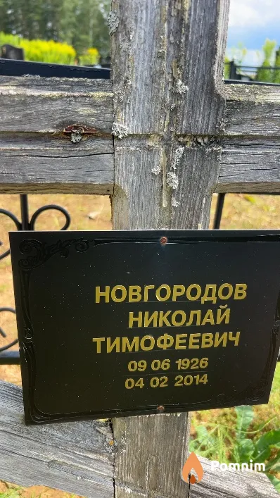Новгородов Николай Тимофеевич