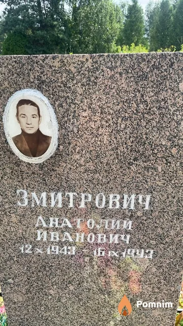 Змитрович Анатолий Иванович