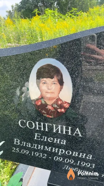 Сонгина Елена Владимировна