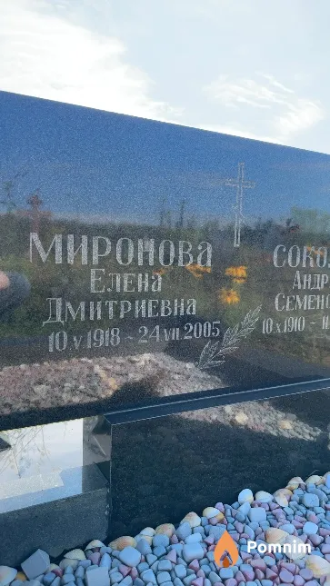 Миронова Елена Дмитриевна