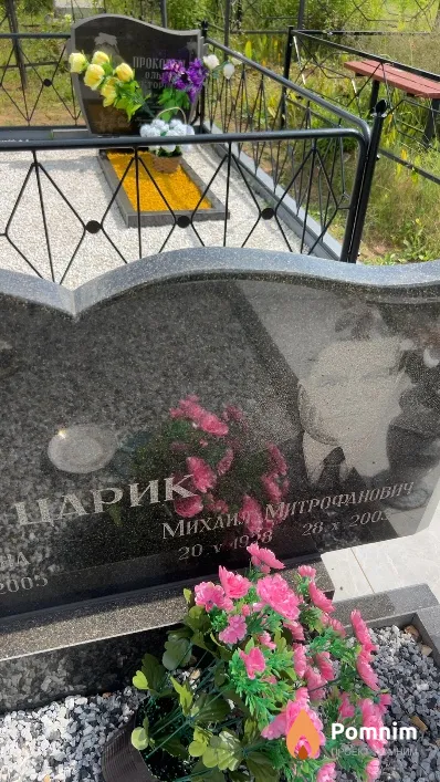 Царик Михаил Митрофанович