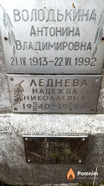 Володькина Антонина Владимировна