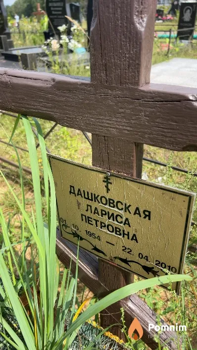 Дашковская Лариса Петровна