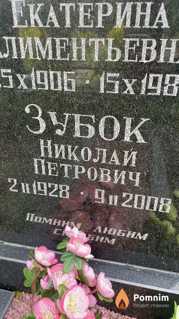 Зубок Николай Петрович