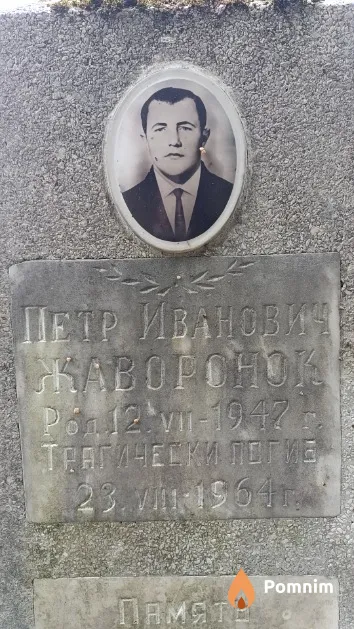 Жаворонок Петр Иванович