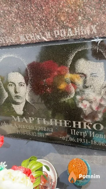 Мартыненко Софья Александровна