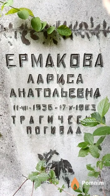 Ермакова Лариса Анатольевна