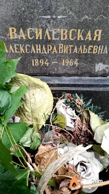 Василевская Александра Витальевна
