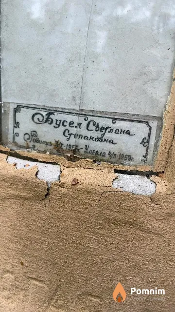 Бусел Светлана Степановна