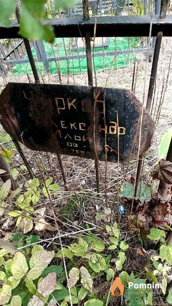 Чирков Александр Ильич
