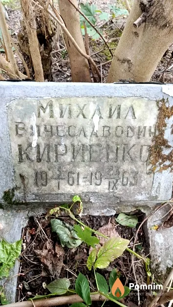 Кириенко Михаил Вячеславович
