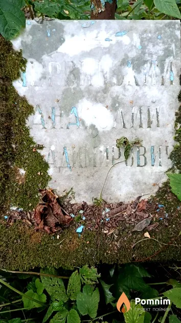 Червинский Анатолий Владимирович