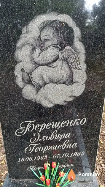 Берещенко Эльвира Георгиевна