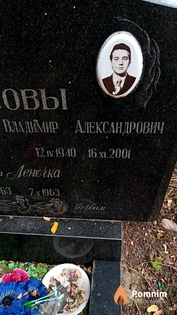 Борисов Владимир Александрович