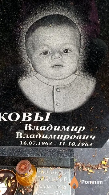 Чижиков Владимир Владимирович
