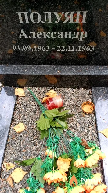 Полуян Александр