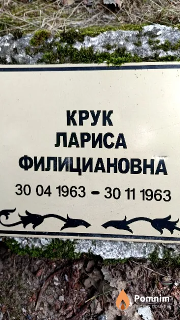 Крук Лариса Филициановна