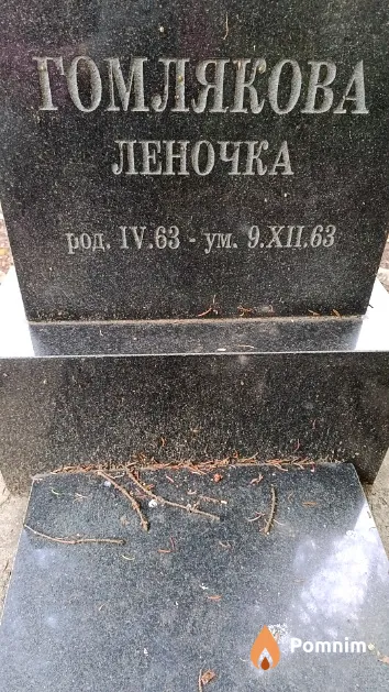 Гомлякова Елена
