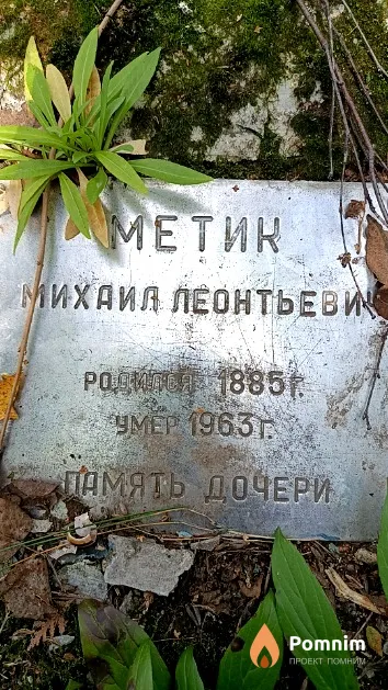 Метик Михаил Леонтьевич