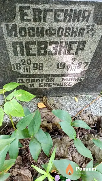 Певзнер Евгения Иосифовна