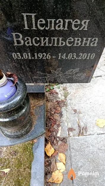 Резцова Пелагея Васильевна