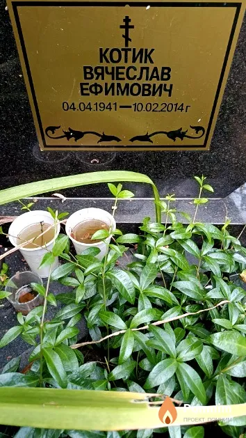 Котик Вячеслав Ефимович
