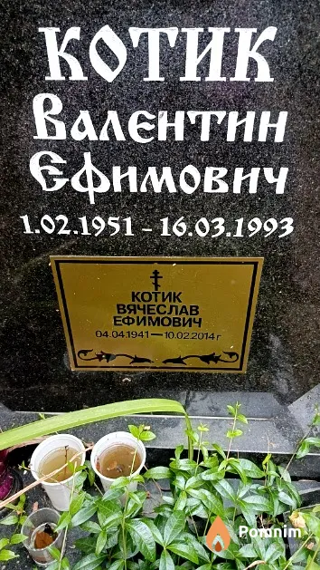 Котик Валентин Ефимович
