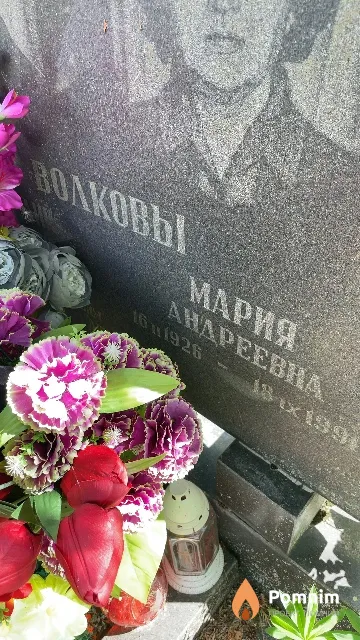 Волкова Mapия Андреевна