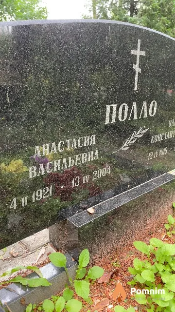Полло Анастасия Васильевна