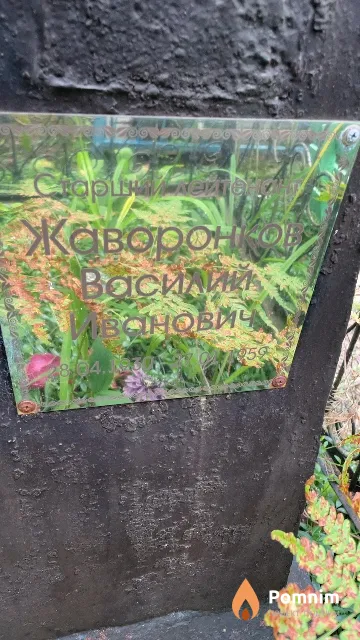 Жаворонков Василий Иванович